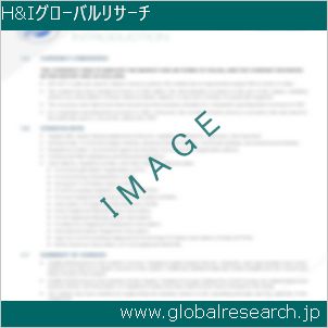 グローバルリサーチ調査レポートのイメージ